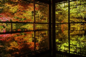 Stroll around in Kyoto to feel its unique four seasons.